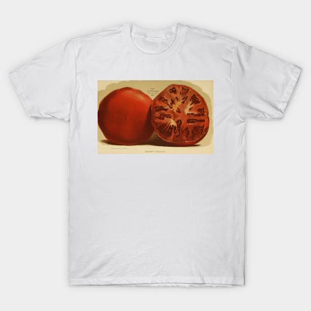 Vintage Illustration of a Sliced Tomato (1871) T-Shirt by Bravuramedia